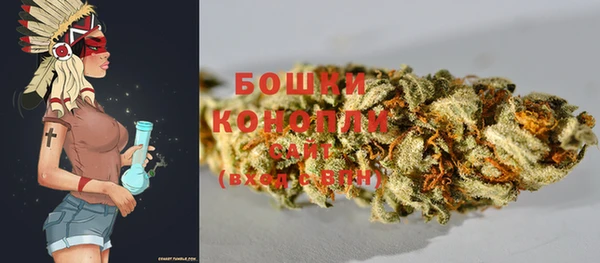 прущие крисы Киренск