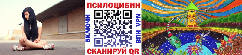 Купить закладки  Махачкала  Псилоцибиновые грибы прущие грибы 
